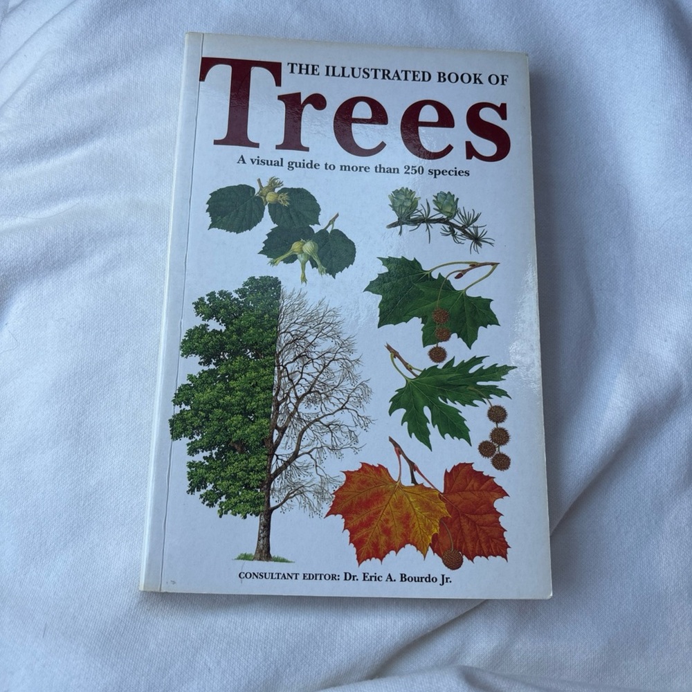 The Illustrated Book of Trees : A Visual Guide to More Than 250 Species